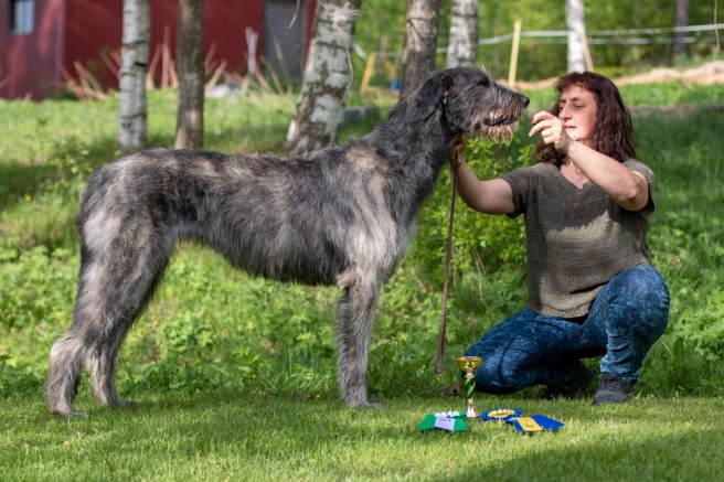 IMG_5894_pite-vinst_maj2018