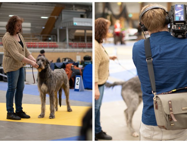 tvabildscollage_sundsvall_april